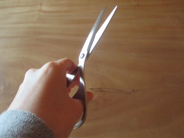 自分、不器用ですから