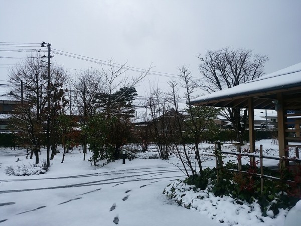 降雪に