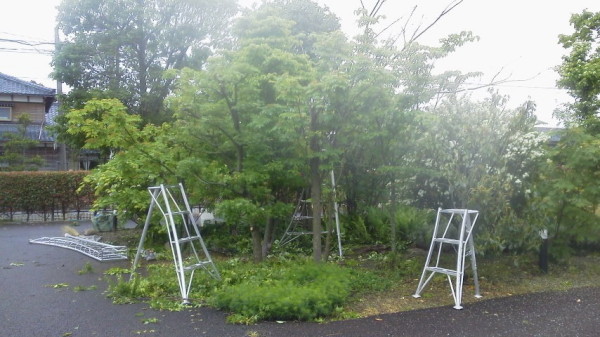 春めいて・・・