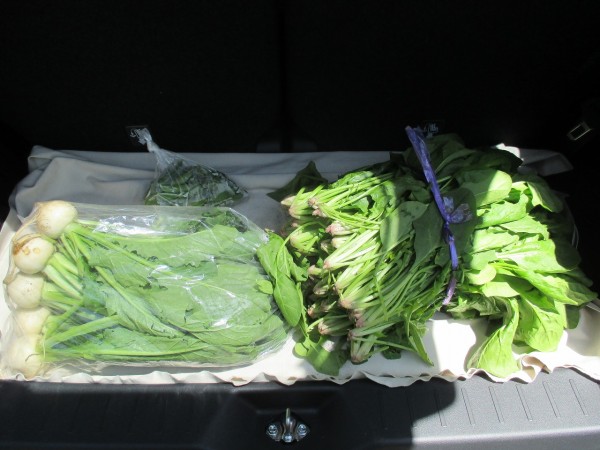 『当たり前』のありがたさ