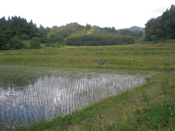 在るものを使う。