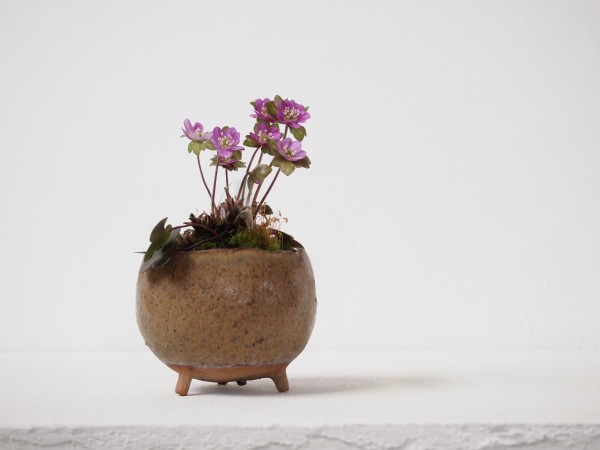 7月イベント情報です！