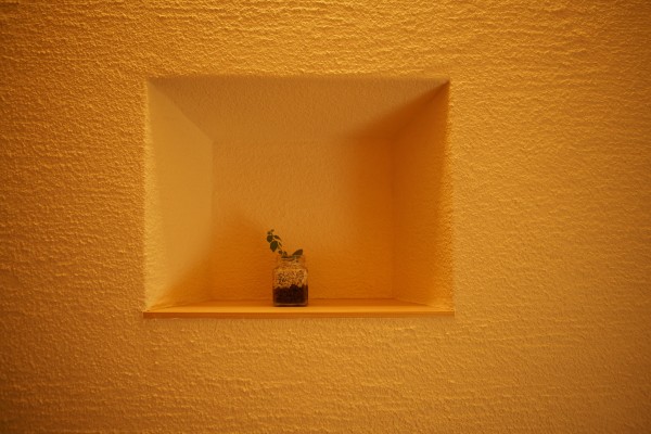 「小さなことからコツコツと」の家づくり