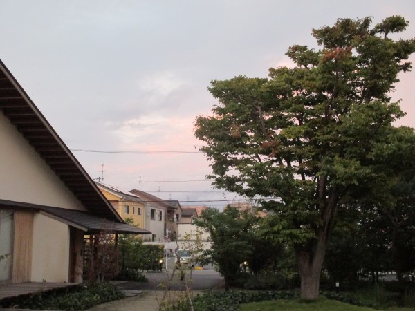 小さい秋、見つける