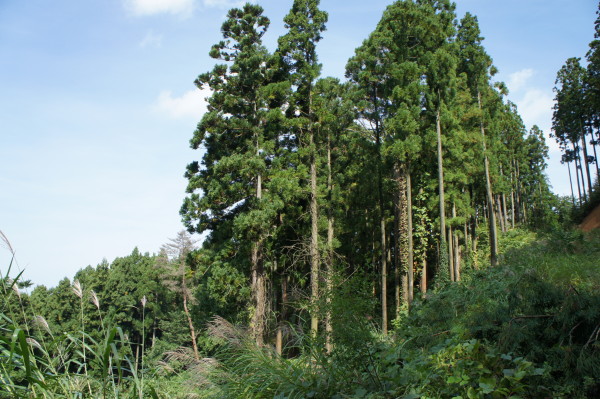 新石山の家　始動です！