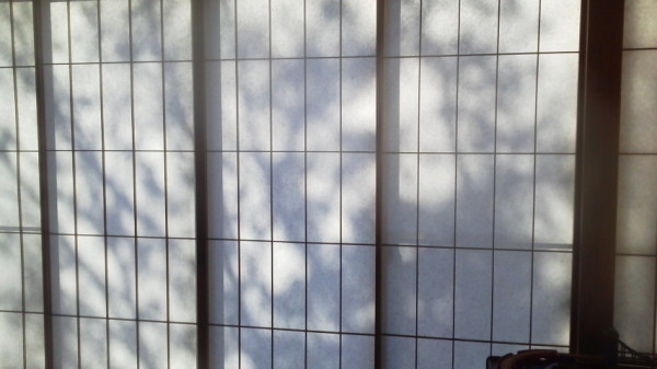 秋の晴れ間に。