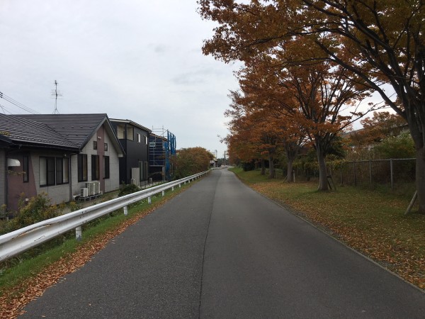 土地探しの日々Ⅱ