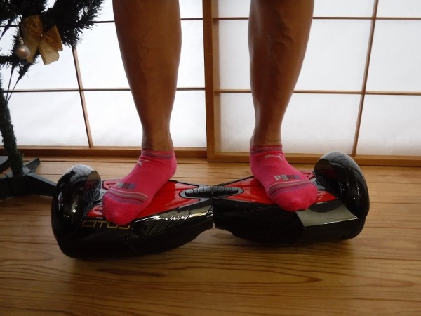 雪のないお正月