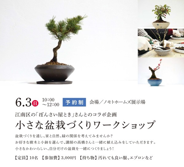 6月3日は盆栽ワークショップです！