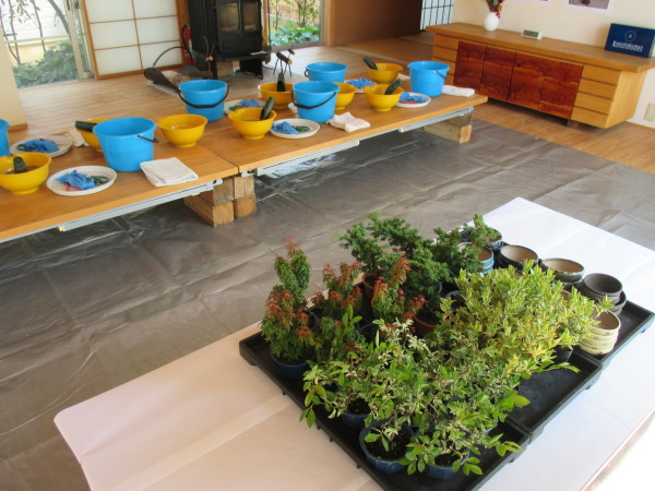 本日は盆栽作りワークショップでした