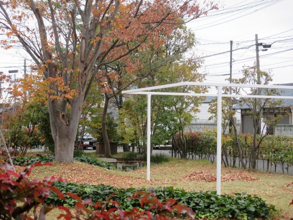 秋のじゅうたん