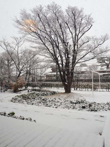 大雪。