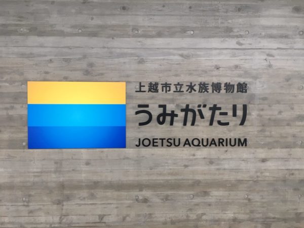 「うみがたり」に行ってきました！