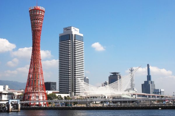 ２４年と横綱と