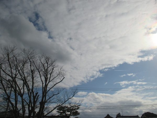 ついに積もるでしょうか・・