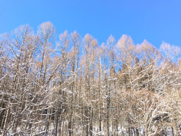 本日より仕事始めです！