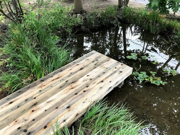 ビオトープの桟橋と事務所の営繕