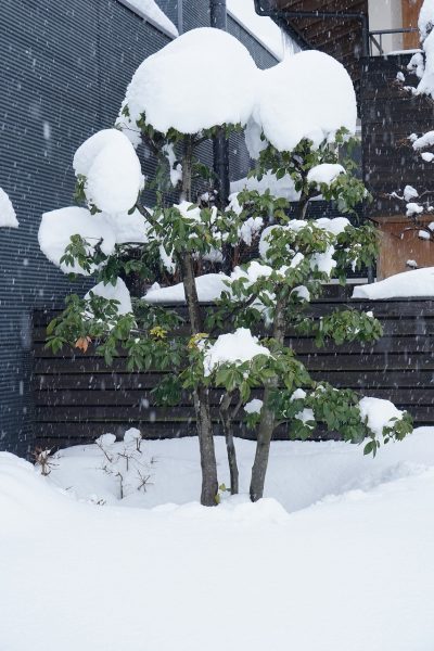 寒波　あと何回