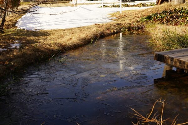 最高のプレゼント