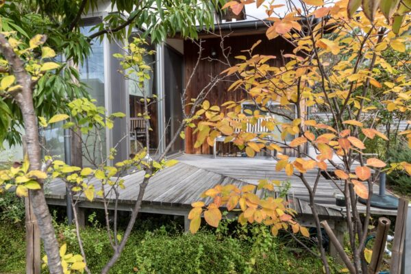 外とのつながりを大事にする