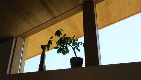 暮らしを飾る小物