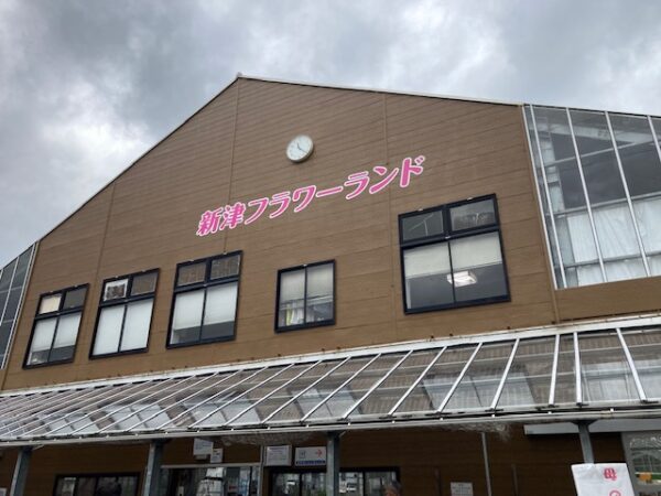 下草や低木は手軽でおすすめです！