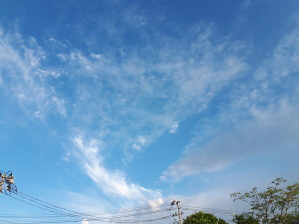 竣工に向けて。