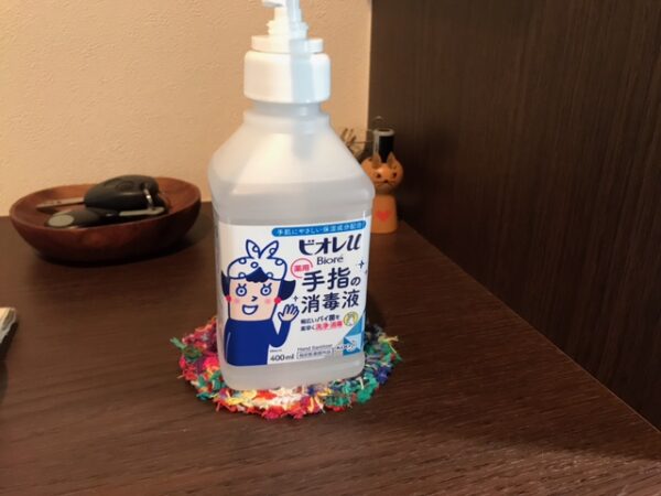 観葉植物について