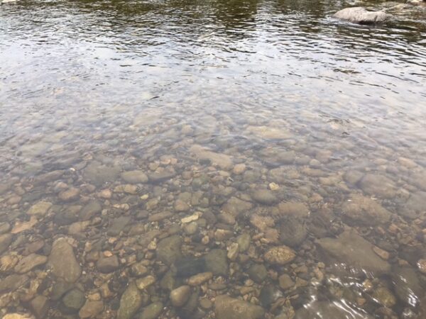 チルチンびとマーケットin新潟について