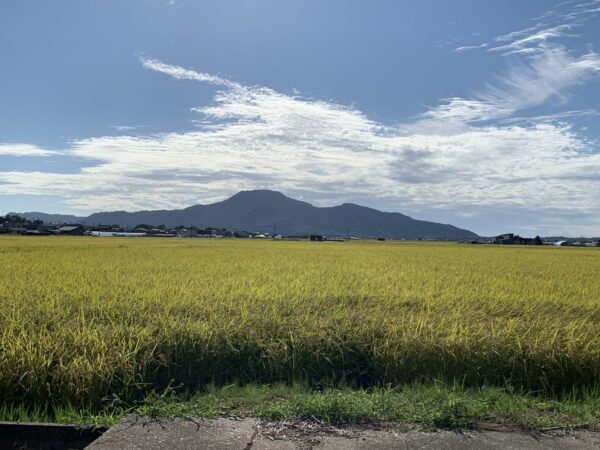 イベントの告知です！