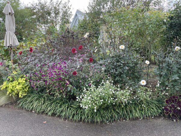 イングリッシュガーデン