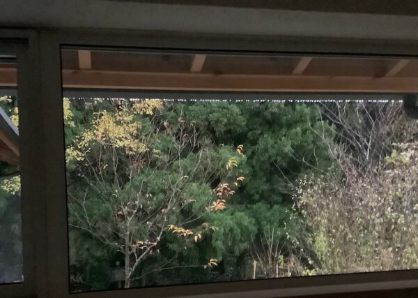 年内最終の見学会