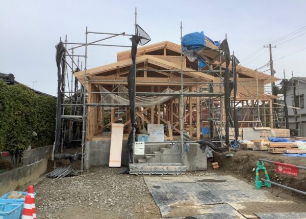 冬至も過ぎて。