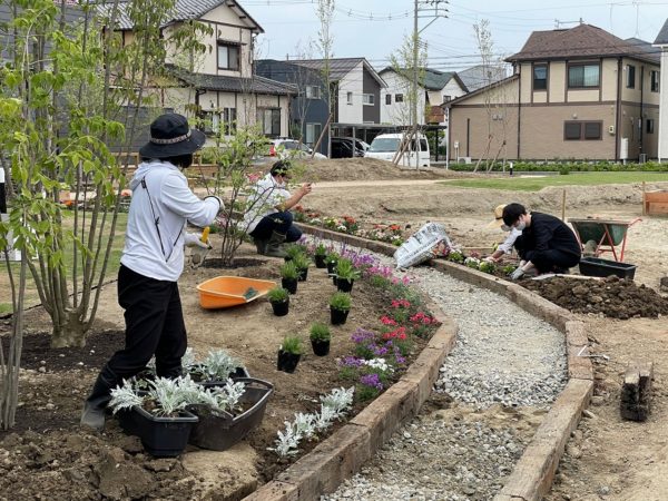 花を植えました