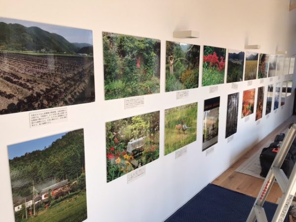 日曜日はHARUMACHIマルシェです