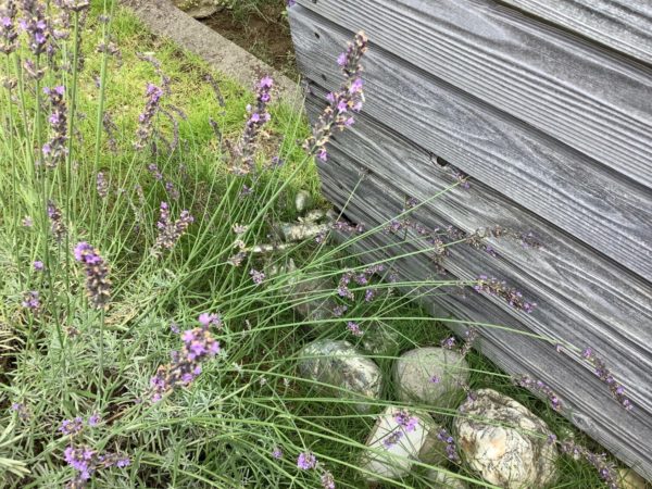 住いのメンテナンス。