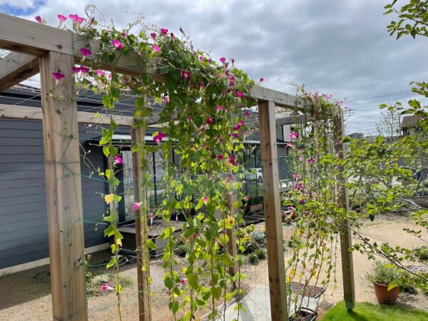 HARUMACHI coffee ＆ ガーデン