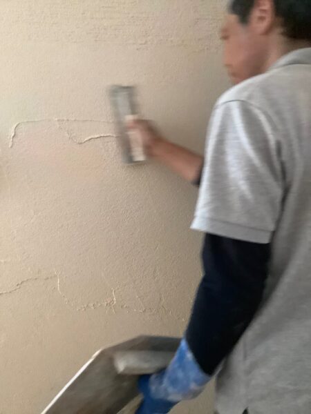 様々なグランドカバー。