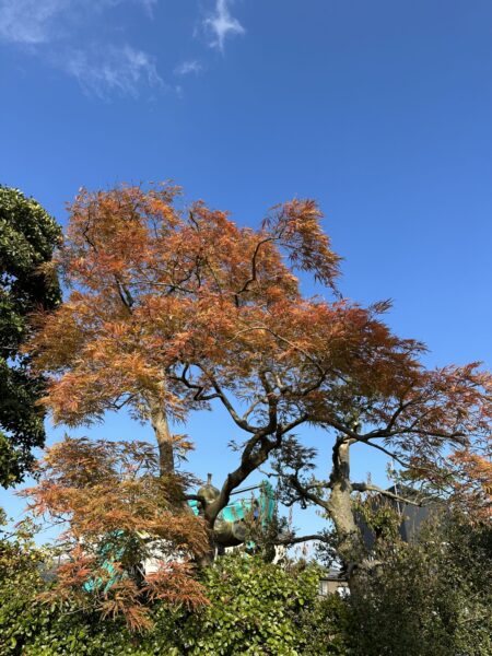 シンプルでおしゃれな階段
