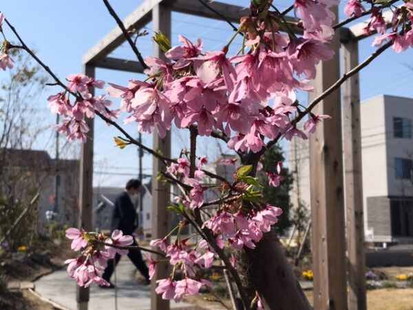 心、潤うエコハウス