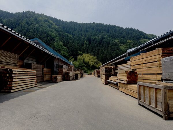 山北杉の故郷を訪ねて