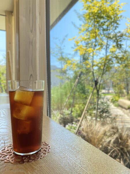 涼しい中間見学会