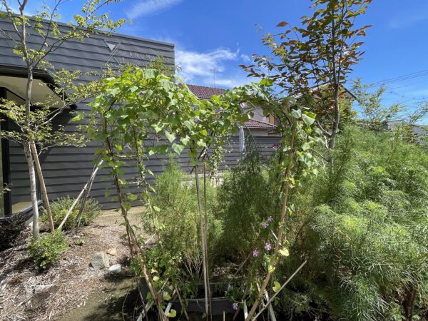 HARUMACHI ガーデン