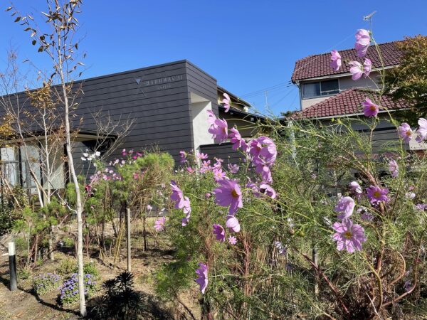 HARUMACHI ガーデン