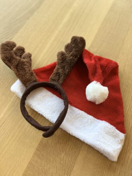 クリスマス準備🎅