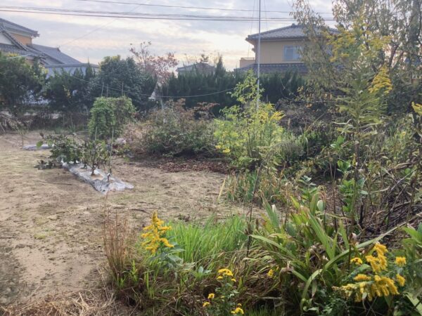 ご実家との同一敷地内新築工事着手。