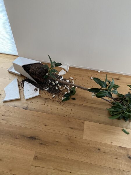 事務所では大きな地震被害がなかったので明日の「キッチンde新春かくし芸大会」インスタライブやります