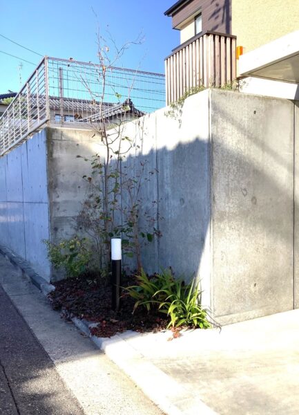 無機質な中の小さな緑