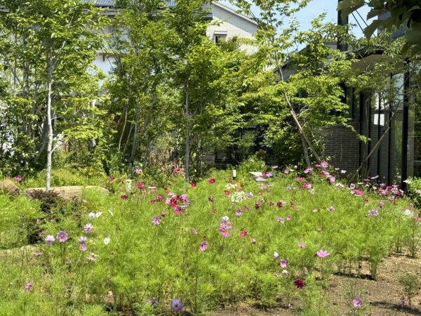 HARUMACHI ガーデン