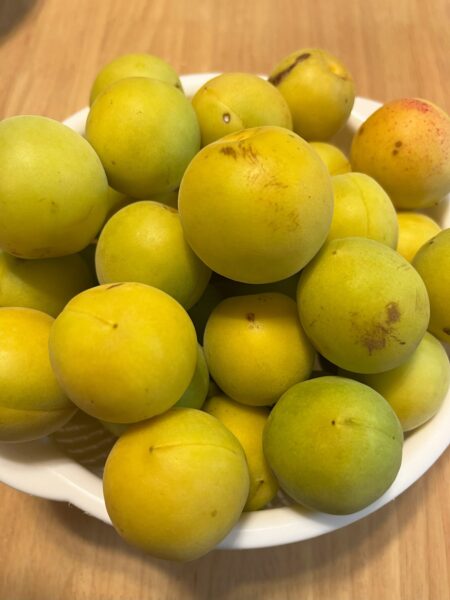 梅仕事、始めました。